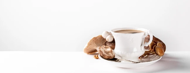 lion's mane and coffee